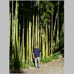 Italien2008 0356.JPG